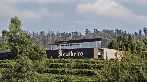 Quinta do Soalheiro Harvest