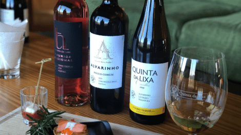 Private Wine Tastings with Quinta da Lixa - Discover Exceptional Wines Online