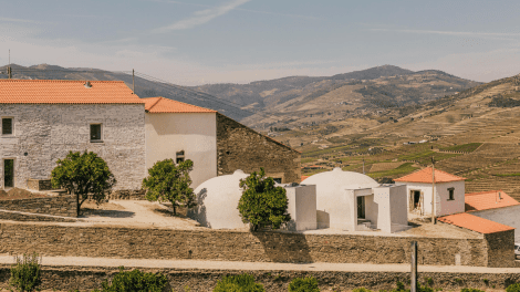 Quinta do Ventozelo Harvest