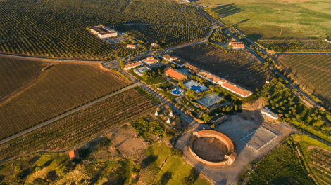 Hotel Vila Galé Clube de Campo, luxurious room, stunning countryside, world-class amenities, delicious cuisine, activities for guests.