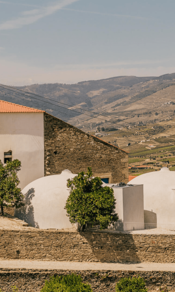 Quinta do Ventozelo Harvest