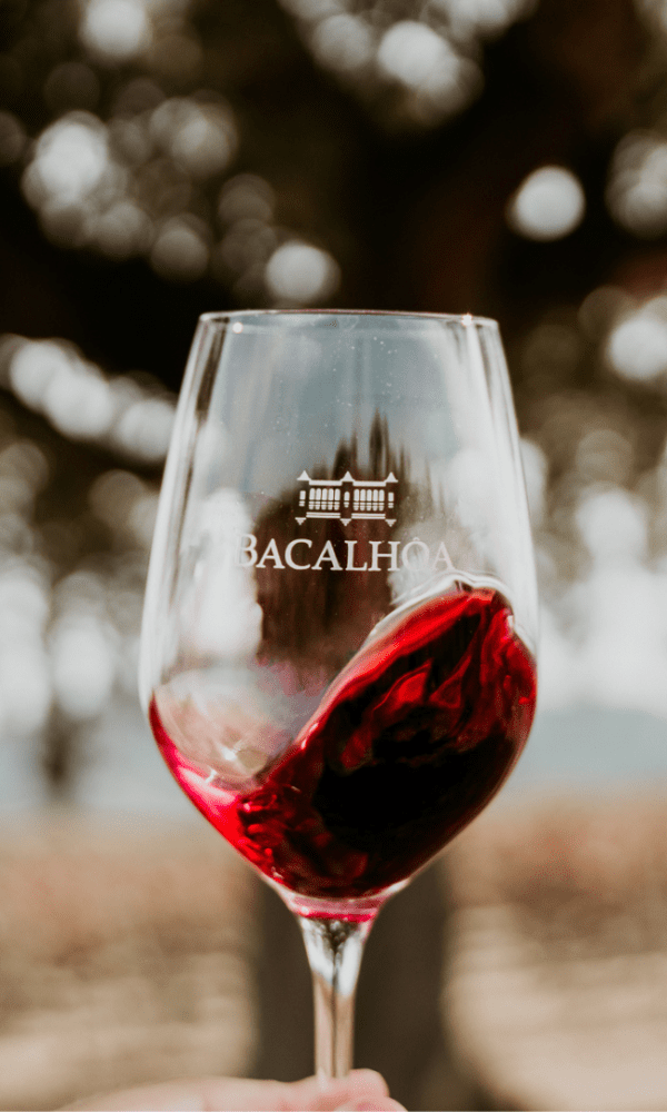 Bacalhoa Wine Tasting 