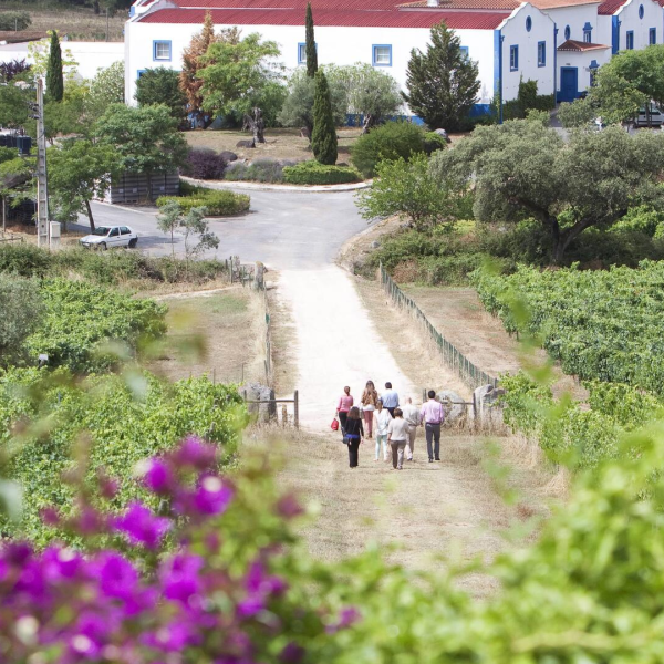 Monte da Ravasqueira