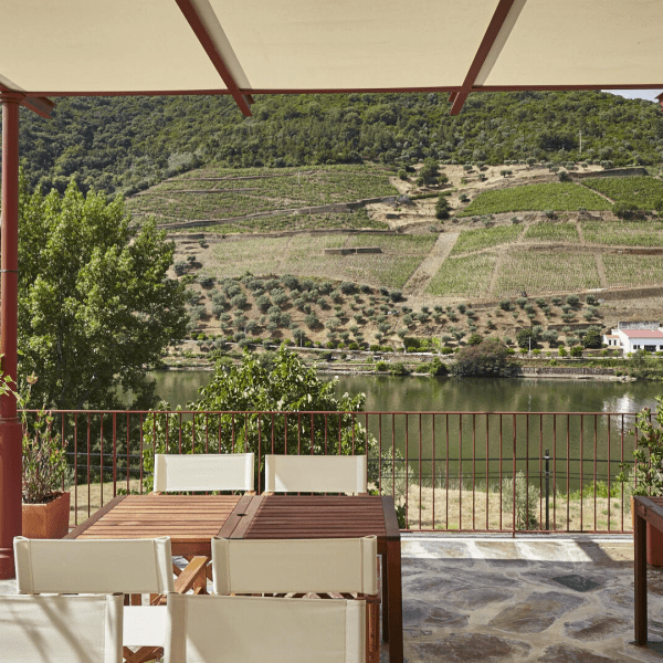 A imagem retrata a Quinta do Bomfim, uma propriedade vinícola de renome no Vale do Douro, em Portugal. Colinas ondulantes cobertas de videiras meticulosamente mantidas estendem-se pela paisagem, com o rio Douro a serpentear pelo vale abaixo. Os edifícios da propriedade, uma mistura de arquitetura tradicional e moderna, estão aninhados entre as vinhas, rodeados por uma vegetação luxuriante e beleza paisagística. O céu acima é claro e luminoso, acentuando as cores vibrantes das vinhas e a atmosfera serena e pitoresca da região.