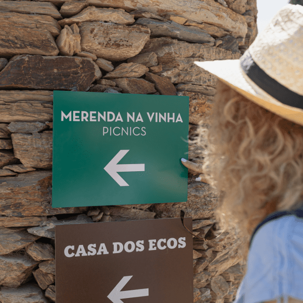 A imagem retrata a Quinta do Bomfim, uma propriedade vinícola de renome no Vale do Douro, em Portugal. Colinas ondulantes cobertas de videiras meticulosamente mantidas estendem-se pela paisagem, com o rio Douro a serpentear pelo vale abaixo. Os edifícios da propriedade, uma mistura de arquitetura tradicional e moderna, estão aninhados entre as vinhas, rodeados por uma vegetação luxuriante e beleza paisagística. O céu acima é claro e luminoso, acentuando as cores vibrantes das vinhas e a atmosfera serena e pitoresca da região.