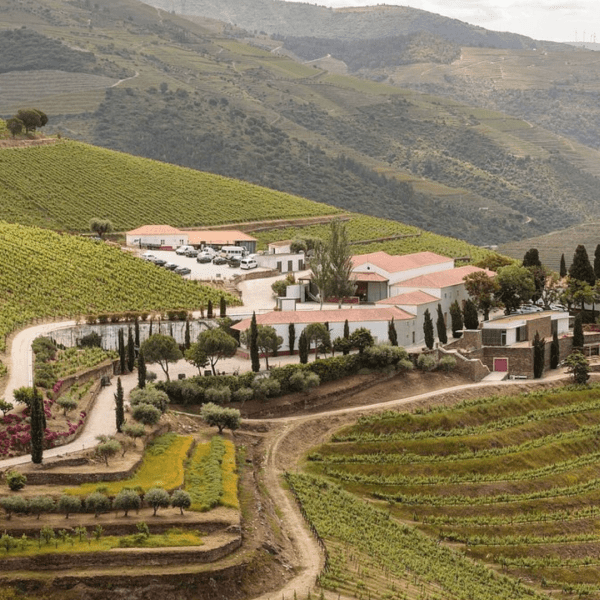 QUINTA NOVA NOSSA SENHORA DO CARMO WINERY 