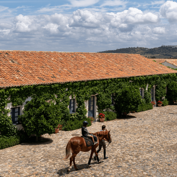 São Lourenço do Barrocal Horseback Riding