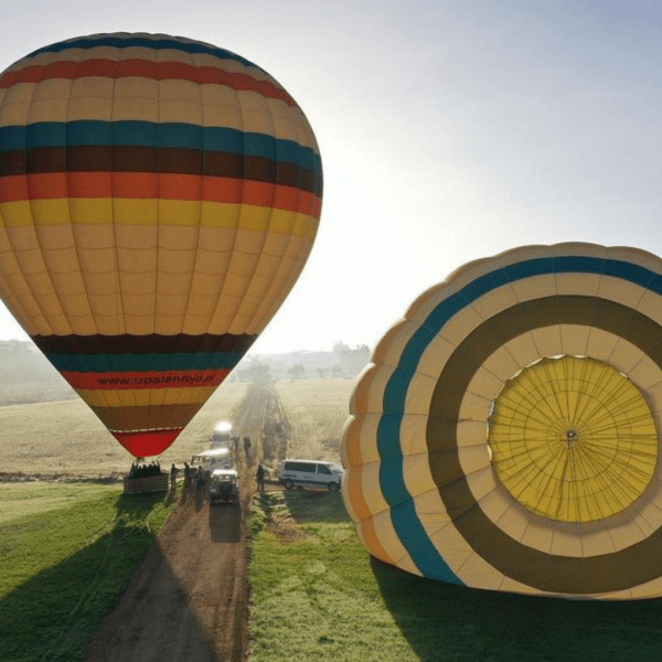 Vista panorâmica da Herdade da Malhadinha Nova, uma propriedade pitoresca em Portugal. A paisagem exibe vinhas ondulantes, olivais e a beleza tranquila da região do Alentejo. A mistura harmoniosa da natureza e da arquitetura da propriedade é evidente, criando uma atmosfera serena e convidativa. Uma viagem visual que capta a essência deste destino idílico, convidando os hóspedes a saborear a beleza e a tranquilidade da Herdade da Malhadinha Nova