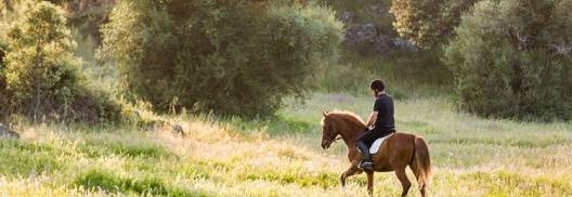 Adega São Lourenço Barrocal - Horse Riding