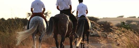 Herdade da Malhadinha - Passeios a cavalo nas vinhas