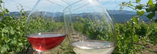 Quinta de Santa Cristina - Canyoning Wine Tour