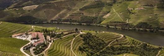 DOURO REGION WINE TOUR WITH LUNCH IN THE VINEYARD – FULL DAY EXPERIENCE