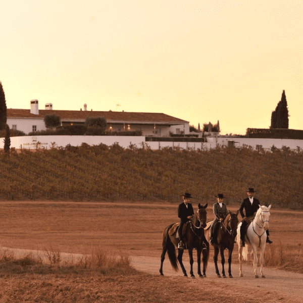 Herdade da Malhadinha Nova Horse Riding on the Vineyards